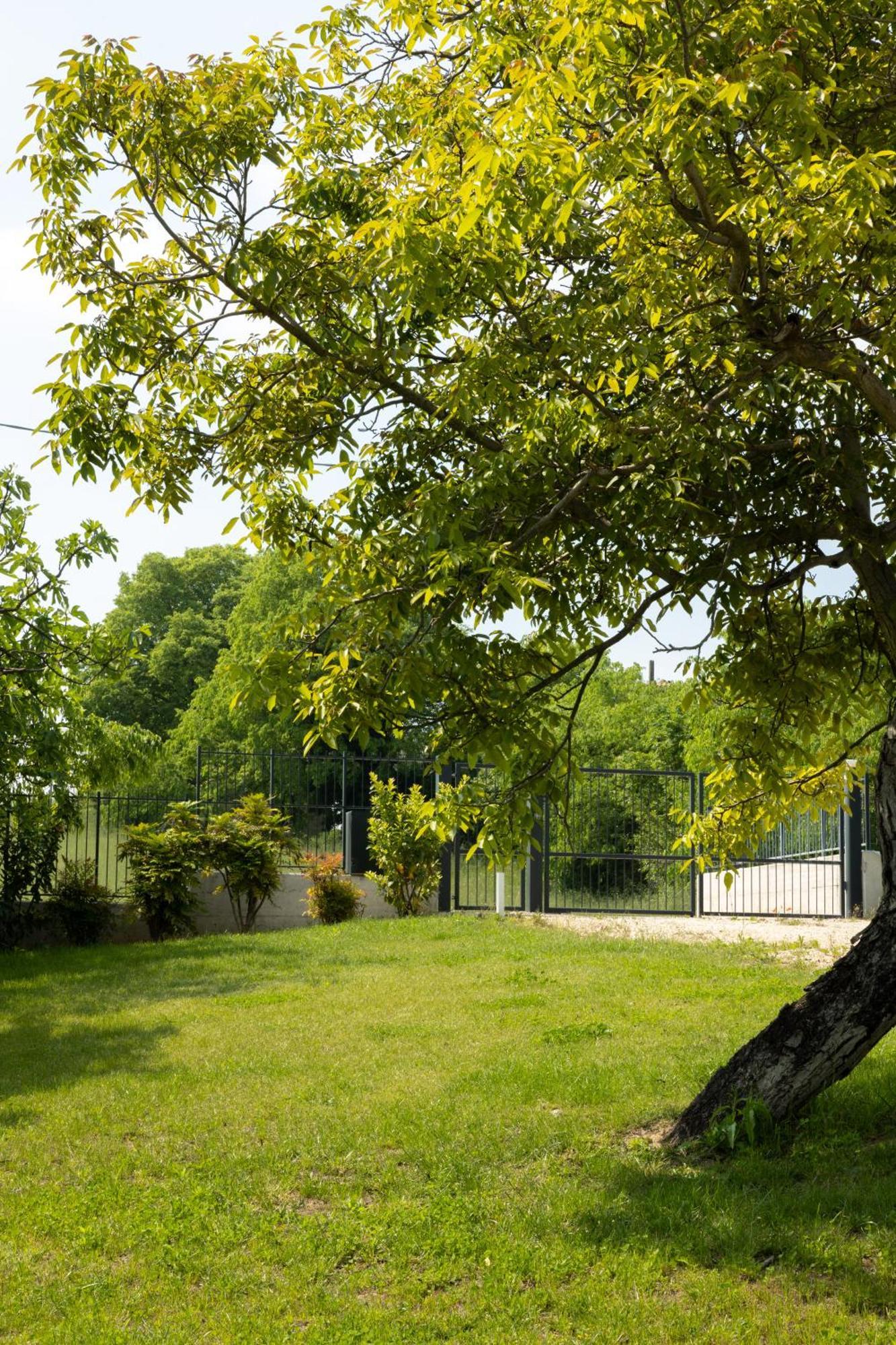 كاستلْنْيوفو ديل غارد Bed And Breakfast Le Giale المظهر الخارجي الصورة